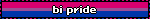 a bi flag blinkie reading 'bi pride'