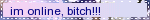 a blinkie reading 'im online, bitch!!!' over a faint pink to blue gradient